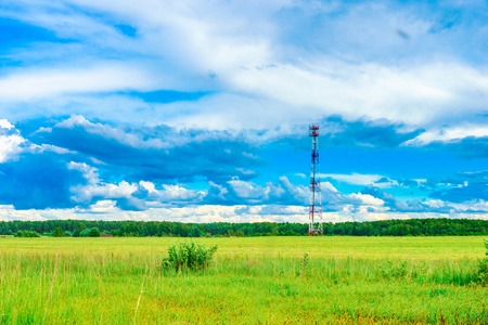 grassland landscape with the sky in the spring, sunny dayの写真素材