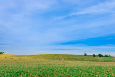 grassland landscape with the sky in the spring, sunny day