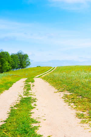 dirt road in a field against a blue skyの写真素材
