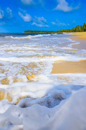 sandy beach and calm blue sea surfの写真素材