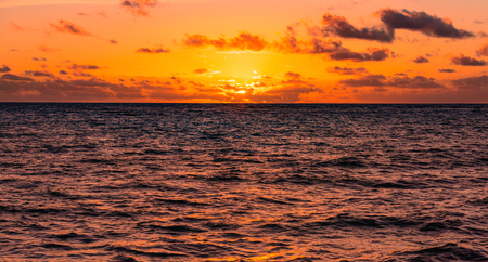 silhouette of palm beach at sunset the sunの写真素材