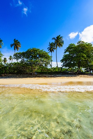 sandy beach and calm blue sea surfの写真素材