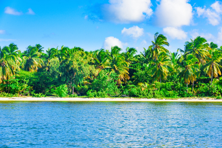 sandy beach and calm blue sea surfの写真素材