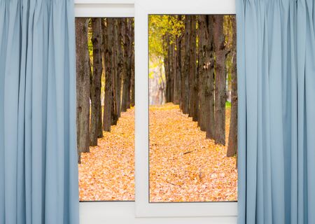 view from the window with a curtain on the road and autumn landscapeの写真素材