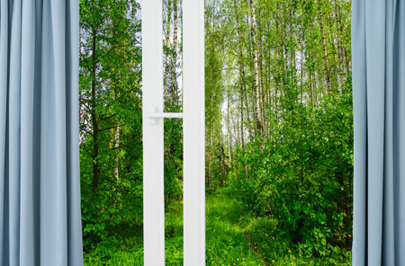 nature landscape with a view through a window with curtainsの写真素材