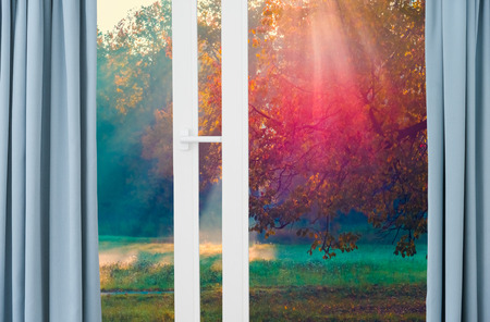 beautiful sunrise sunshine view from the window with curtainsの写真素材