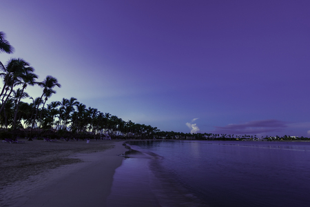 Palm trees on the seashore in the morning rays of the sun dawnの写真素材