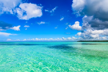 sandy beach and calm blue sea surfの写真素材