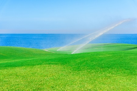 automatic watering the green grass on the golf courseの写真素材