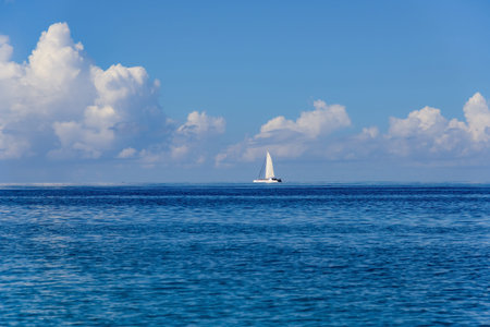 sailing boat floating in the sea near the shore