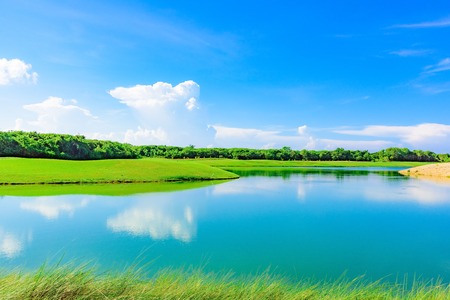 automatic watering the green grass on the golf courseの写真素材