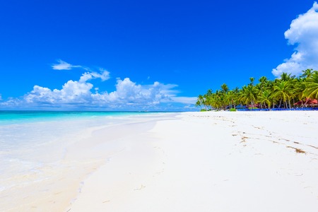 sandy beach and calm blue sea surfの写真素材