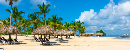 Group deck chairs under an umbrella on a sandy beach seaの写真素材