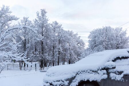 car is parked tunes with a thick layer of snow blizzard cold winterの写真素材