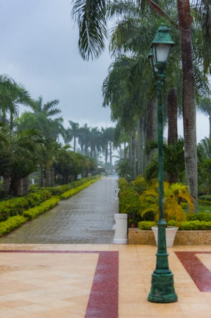 downpourの写真素材