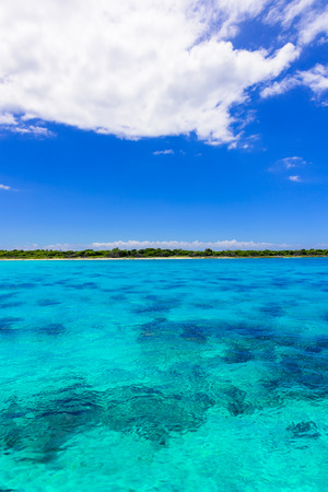 sandy beach and calm blue sea surfの写真素材