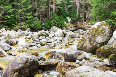  fast mountain stream among the stones  spring a thaw in the forestの写真素材