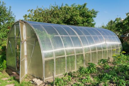 Arched greenhouse with tomato seedlingsの写真素材