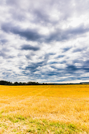 oblique field landscape with dark rain clouds skyの写真素材