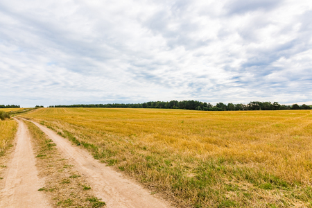 road in the field dry mowed grass sky with cloudsの写真素材