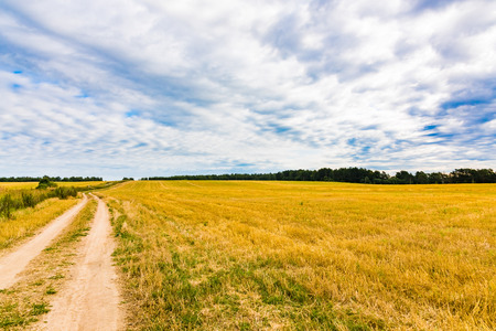 road in the field dry mowed grass sky with cloudsの写真素材