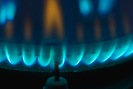 stove for cooking gas burner blue flames