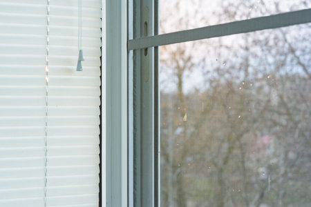 closed plastic blinds on the window with the reflection in the glass