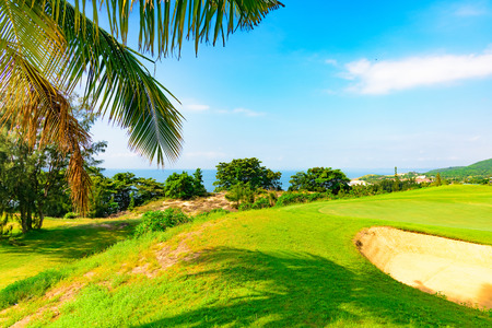 well-groomed field lawn green grass for playing golfの写真素材