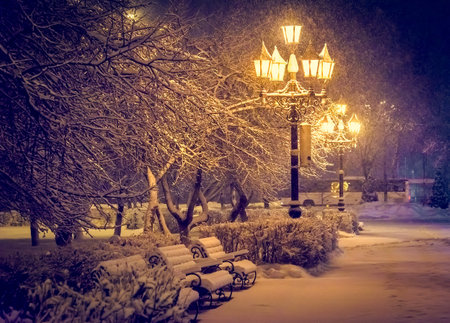 glow lamp on pole in winter on a background of a tree covered with a layer of snow at night
