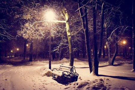 glow lamp on pole in winter on a background of a tree covered with a layer of snow at nightの写真素材
