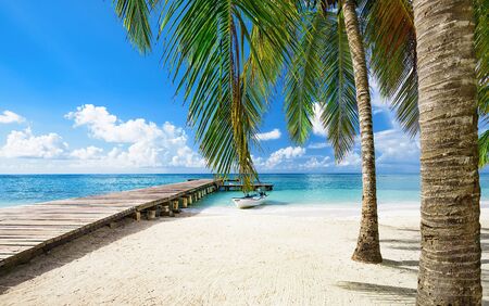 wooden bridge juts out into of the sea Dominican Republicの写真素材