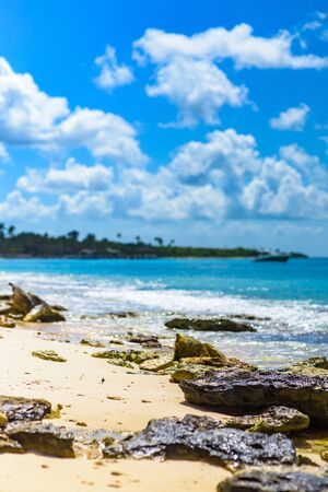 sandy sea beachの写真素材