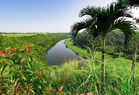 calm beautiful river chevon among tropical jungle high bank dominican republicの写真素材