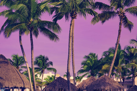 Group deck chairs under an umbrella on a sandy beach sea tropical sunny day