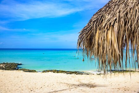 Group deck chairs under an umbrella on a sandy beach caribbean seaの写真素材