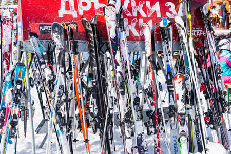 Bulgaria. Bansko. 12 February 2020.Bansko ski station, Kolarski ski lift at Banderishka polyana, skiers on ski slopes, mountain. With pine trees, people. Snowのeditorial素材