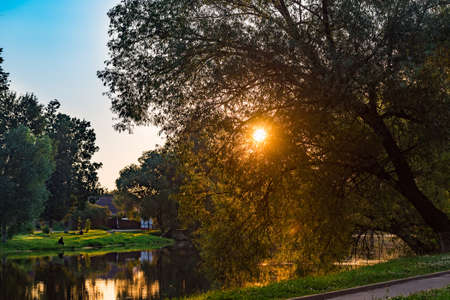 colorful dawn early morning over a pond sun rays through tree branchesの写真素材