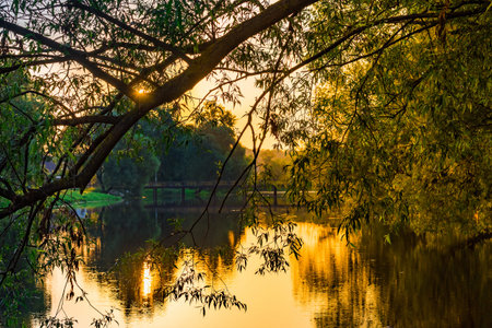 colorful dawn early morning over a pond sun rays through tree branches