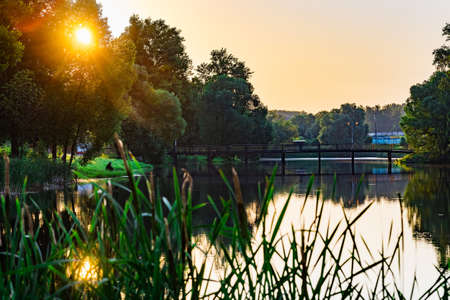 colorful dawn early morning over a pond sun rays through tree branchesの写真素材