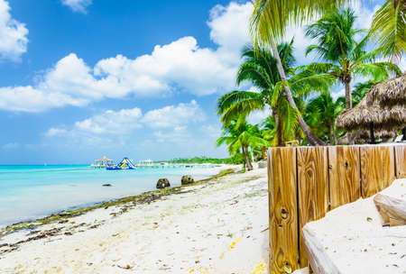Beautiful tropical landscape of the Atlantic Ocean palm against the skyの写真素材
