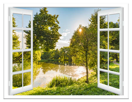 view from the window in the body of water and the tree in summerの写真素材