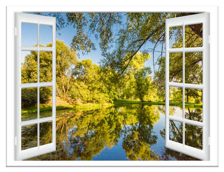 view from the window in the body of water and the tree in summerの写真素材