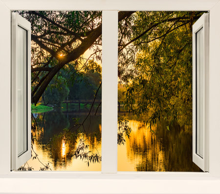 view from the window earlier morning sunrise over the pond and trees