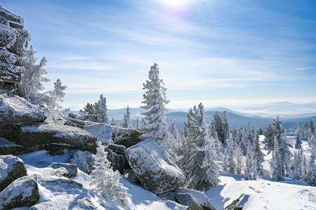 rocky cliffs white trees in hoarfrost in winter in northern Russiaの写真素材