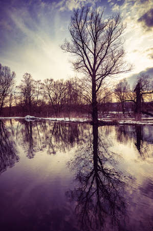 wooden bridge to the reservoir on a spring day in the water the reflection of the sunの写真素材