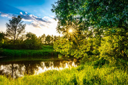 sunset on the river in summer green grass sun rays through tree branchesの写真素材