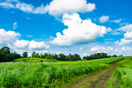 rural landscape dirt road in the field blue sky with white cloudsの写真素材