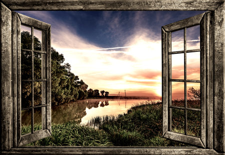 view from the window in the body of water and the tree in summer