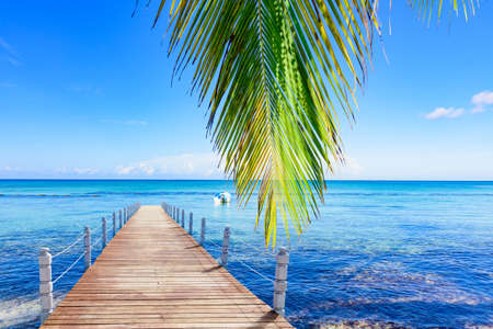 sandy beach and calm blue Caribbean sea surf Dominican Republicの写真素材