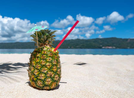 cocktail pina colada in pineapple on the sand of the caribbean beach in the Dominican republicの写真素材